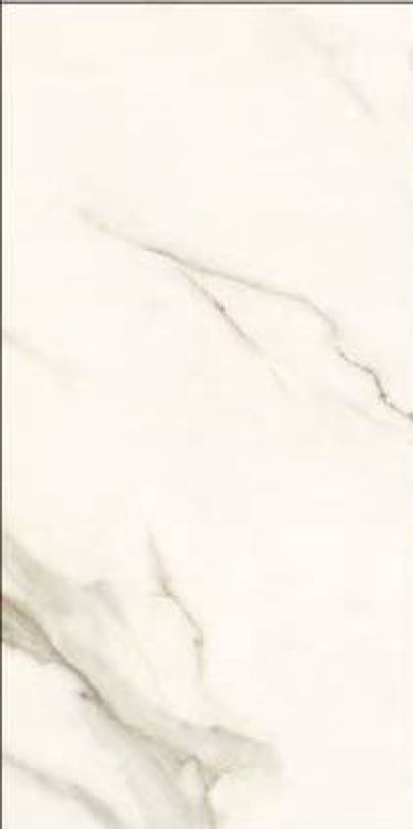 Time Dorado Matte 12 x 24